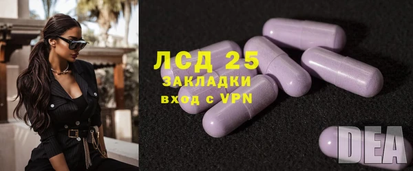 ГАЛЛЮЦИНОГЕННЫЕ ГРИБЫ Алзамай