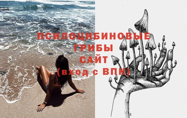 ГАЛЛЮЦИНОГЕННЫЕ ГРИБЫ Алзамай