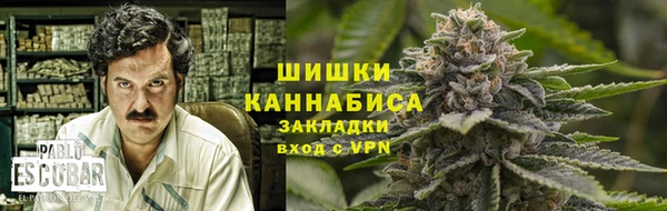 ГАЛЛЮЦИНОГЕННЫЕ ГРИБЫ Алзамай