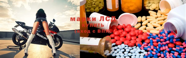 ГАЛЛЮЦИНОГЕННЫЕ ГРИБЫ Алзамай
